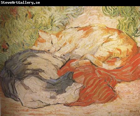 Franz Marc cats (mk34)